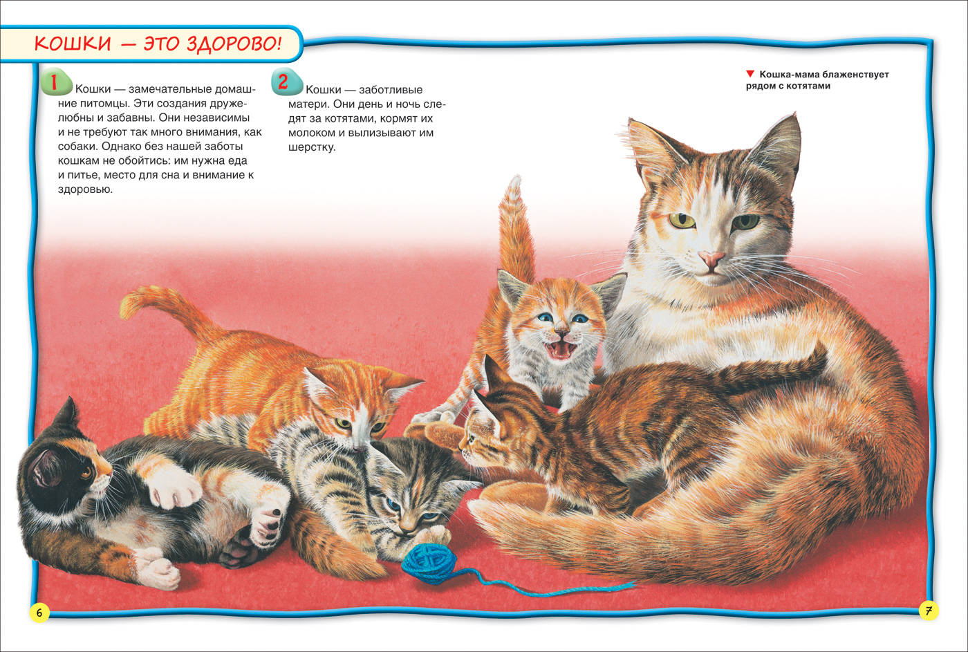 Книга из серии 100 фактов – Кошки и котята  